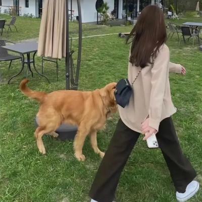 沉默的眼睛